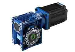 110 Brushless 1000W with RV75